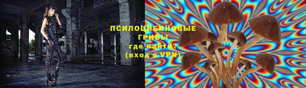 ALPHA-PVP Каменка